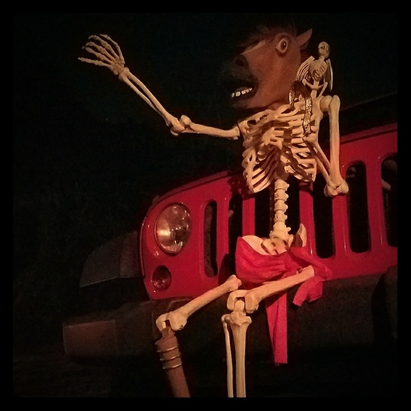 Skully - Picture 3 of 3